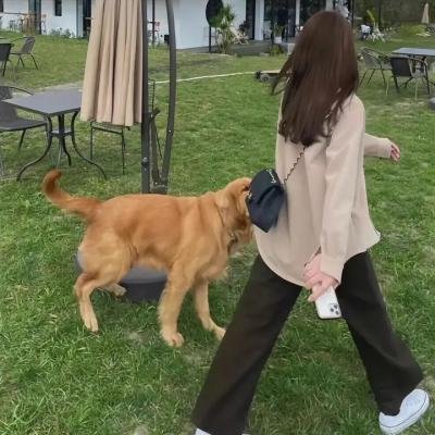 女爵恩仇录